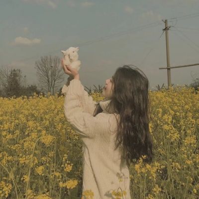 windows 7系统下载