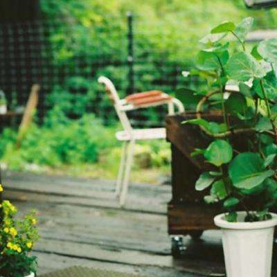 星际2下载 祖玛游戏免费下载