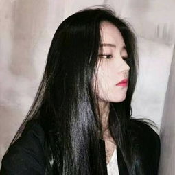 火之意志继承者下载