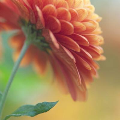 大智慧软件下载截图