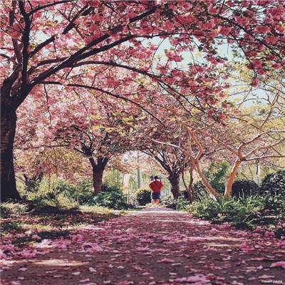 千寻影视下载截图