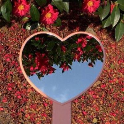 brother打印机驱动程序下载