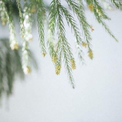 港澳联盟宝典官网下载