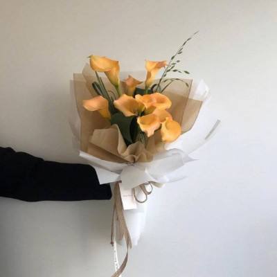 81818威尼斯官网 68开元国际下载