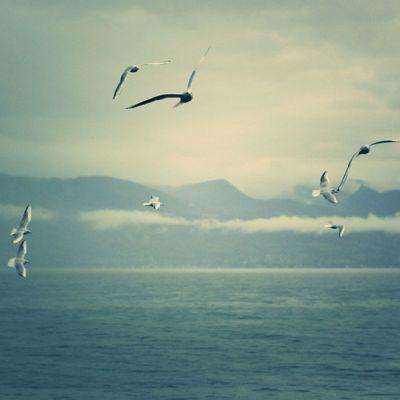 bob体育平台官网下载截图3