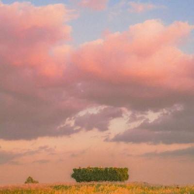 丁香网 AV漫画网页登入