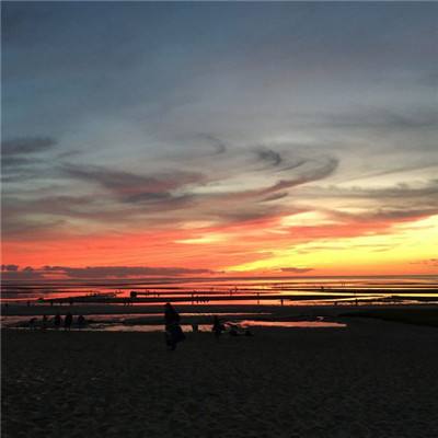 e体育网页版入口截图3