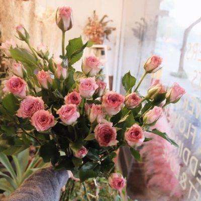 10240在线最新地址截图0