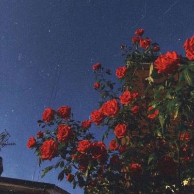 金都棋牌下载截图