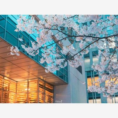 鸿博体育官方截图2