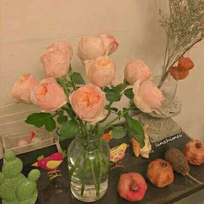 九游体育官网入口官网下载