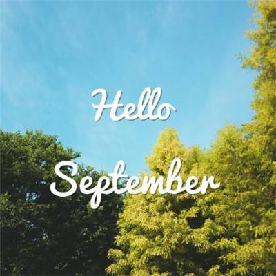 84050开元官网下载截图