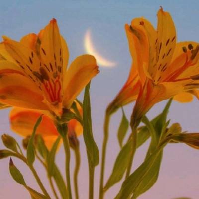 天天操人人插截图3