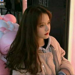 火之意志继承者下载