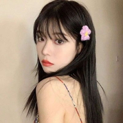 火之意志继承者下载