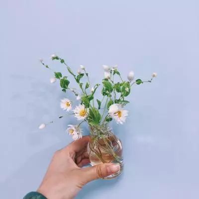 空之轨迹fc下载截图1