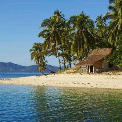 2024年澳门老鼠报截图1