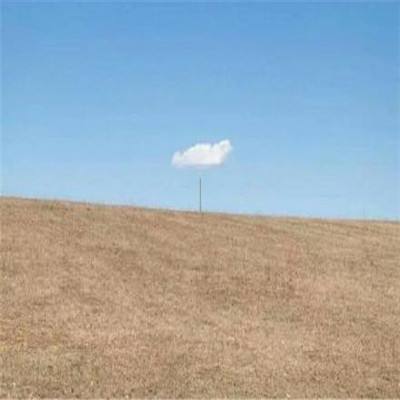 世纪开元官方网站截图3