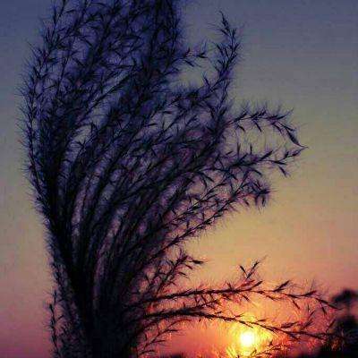 6t平台骗局截图0