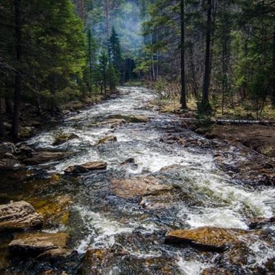 vn77威尼斯人手机版下载截图3