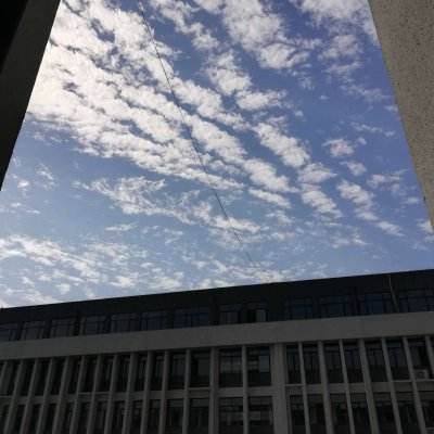 84050开元官网下载截图