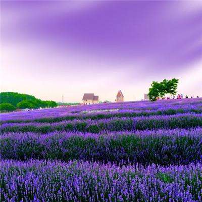 aa3044永利集团官网