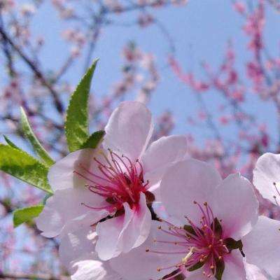 雷竞技官方版app截图1