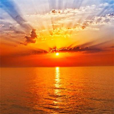 亿博体育APP登录截图